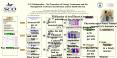 IC5 Collaborative The Promotion of Urinary Continence and the Management of Urinary Incontinence at