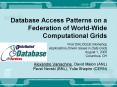 Database Access Patterns on a Federation of WorldWide Computational Grids