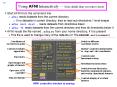 Using AFNI Interactively More details than you want to know