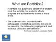 What are Portfolios