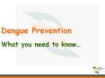 Dengue Prevention