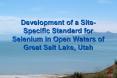 Development of a SiteSpecific Standard for Selenium in Open Waters of Great Salt Lake, Utah