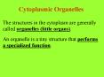Cytoplasmic Organelles