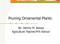 Pruning Ornamental Plants