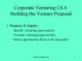 Corporate Venturing Ch 4: Building the Venture Proposal