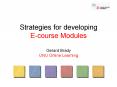 Strategies for developing Ecourse Modules Gerard Brady UNU Online Learning
