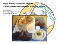 Happy Birthday country Shish Kebabs