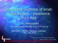 Developing portfolios of smallscale projects experience from Asia