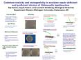 Cadmium toxicity and mutagenicity in excision repair deficient and proficient strains of Salmonella