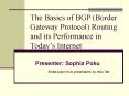 The Basics of BGP Border Gateway Protocol Routing and its Performance in Todays Internet