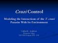 Computational Modeling of the Interaction of the T' cruzi Parasite with its Environment