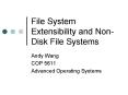 File System Extensibility and NonDisk File Systems