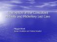 Conception of the Consultant Midwife and Midwifery Led Care