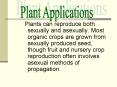 Plants can reproduce both sexually and asexually' Most organic crops are grown from sexually produce