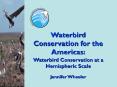 WHSRN summary 2004 0920