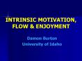 INTRINSIC MOTIVATION, FLOW