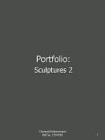 Portfolio: