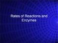 Rates of Reactions and Enzymes