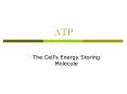 ATP