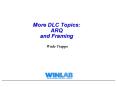 More DLC Topics: ARQ and Framing
