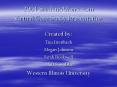 2004 StudentAffairs'com Virtual Case Study Presentation