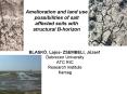 Amelioration and land use possibilities of salt affected soils with structural Bhorizon