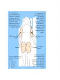 You should put your ointment on a different area each time you apply it' This will help keep your sk