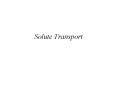 Solute Transport
