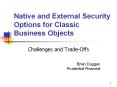 Native and External Security Options for Classic Business Objects