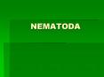 NEMATODA