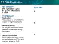 Vocabulary Replication The process by which DNA is copied during the cell cycle' DNA Polymerase An e