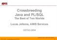 Crossbreeding Java and PLSQL The Best of Two Worlds Lucas Jellema, AMIS Services ODTUG 2004