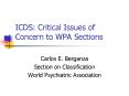 ICDS: Critical Issues of Concern to WPA Sections