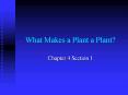 What Makes a Plant a Plant