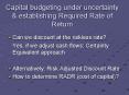 Capital budgeting under uncertainty