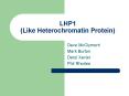 LHP1 Like Heterochromatin Protein