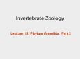 Invertebrate Zoology