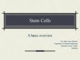 Stem Cells