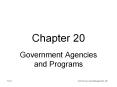 Government Agencies and Programs