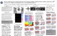 The hippocampus and striatum are suggested to mediate different forms of navigation Packard