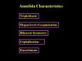 Annelida Characteristics