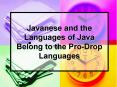 Javanese and the Languages of Java Belong to the Pro-Drop Languages