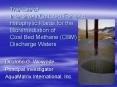 The Use of Intensively Cultured Fish and Halophytic Plants for the Bioremediation of Coal Bed Methan
