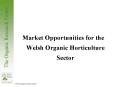 Market Opportunities for the Welsh Organic Horticulture Sector