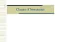 Classes of Nematodes