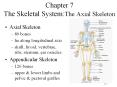 Chapter 7 The Skeletal System:The Axial Skeleton