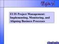 EUIS Project Management: Implementing, Monitoring, and Aligning Business Processes