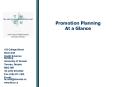 Promotion Planning At a Glance