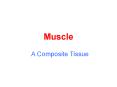 Muscle