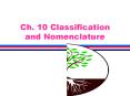 Ch' 10 Classification and Nomenclature